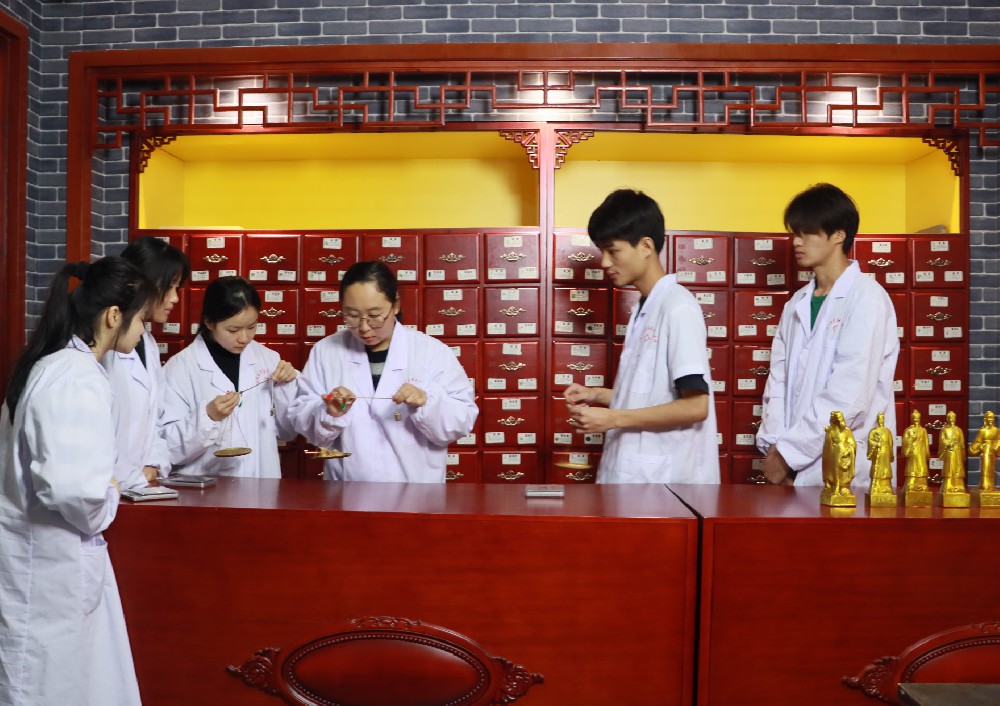 中药学(药学院)