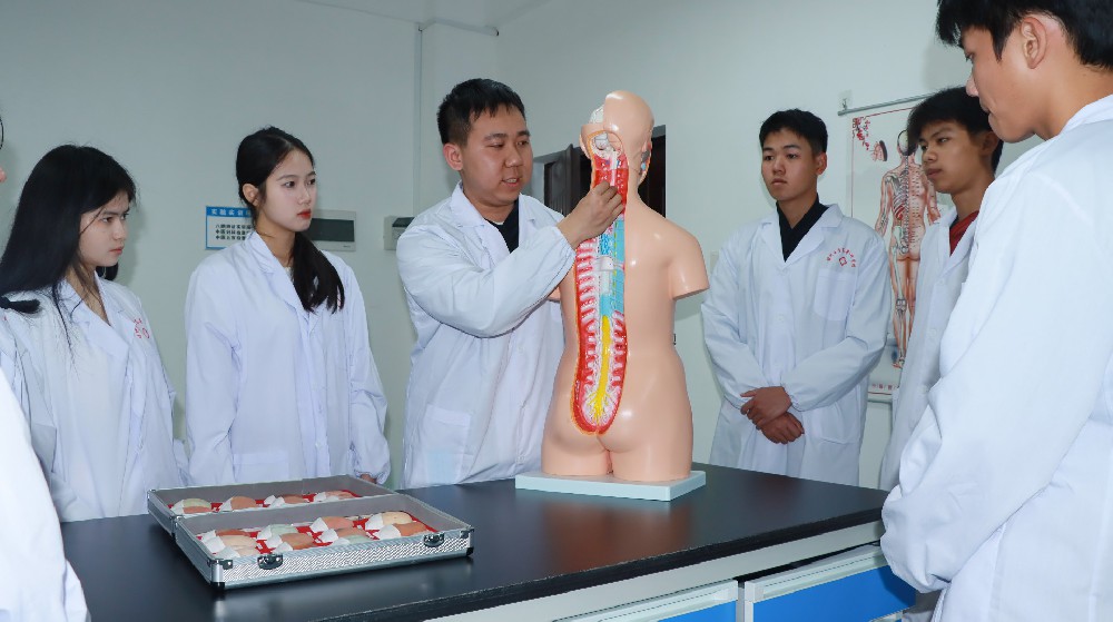 中医康复技术(中医学院)